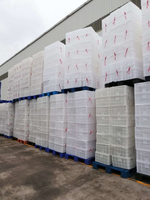 全新质量塑料筐570 335塑胶框批发重庆赛普塑业食品周转筐生产厂